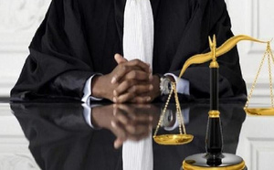 Acte contre nature avec une brebis : Un carreleur écope d'un an de prison, dont 3 mois ferme