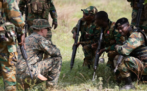 Plus de détails sur l'exercice militaire « African Lion 2025 » : le Sénégal au centre d’une coopération sécuritaire internationale