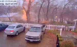 Un arbre tranché en deux sous l'impact de la foudre