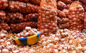 Oignons et pommes de terre : Le marché sera approvisionné “en qualité et à bon prix” (Responsable)