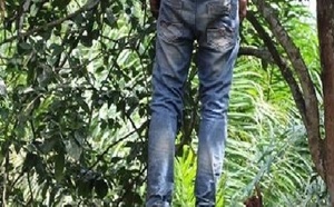 Drame à la forêt classée de Keur Massar : Cheikh Sow, jeune homme de 20 ans, retrouvé pendu