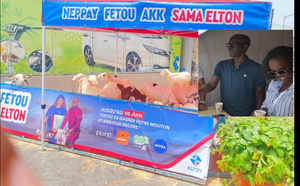Elton Sénégal renforce sa proximité avec ses clients, à travers un don de moutons pour la Tabaski