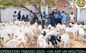 Solidarité à l’honneur : L’ASP lance l’opération « Un ASP, un mouton » pour la Tabaski 2025