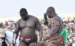 Modou Lô Vs Gris Bordeau officiellement ficelé: PAF décroche la revanche