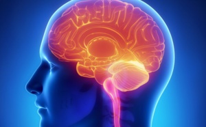 10 choses complètement incroyables sur les capacités folles de notre cerveau !