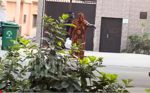Libérée avec Zale Mbaye : L'attitude de Nogaye Kara décrite par Gouye Gui 