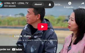 Carpes koï de Dazhuang : Une « voie scintillante » pour la revitalisation rurale