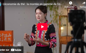 L'économie du thé : La montée en gamme de l'industrie du thé Pu'er