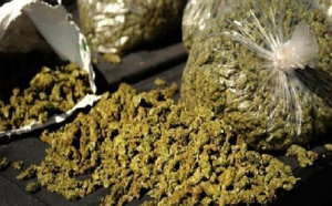 Trafic de chanvre indien déjoué à Sédhiou : un individu interpellé avec 5 kg de drogue