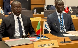 Photos / Conseil de l’Organisation mondiale des Douanes (OMD) 2025 : Babacar Mbaye, DG des Douanes plaide pour des pratiques douanières respectueuses de l’environnement