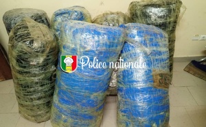Importante saisie à Fadial : 245 kg de chanvre indien interceptés par l’OCRTIS