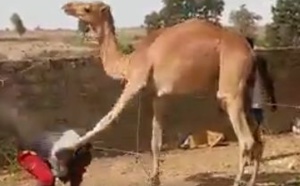 A mourir de rire, regardez !