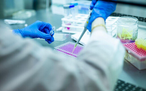 La Chine rattrape l'Occident dans le domaine des biotechnologies