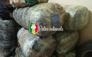 Mballing : La police déjoue une tentative de trafic de drogue sur la plage, 196 kg de chanvre saisis, les trafiquants en fuite