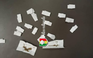 Détention de drogue à Ziguinchor : Un homme arrêté avec 18 doses de Kush