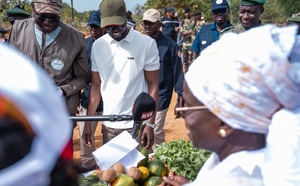 Mbao : Diomaye Faye donne le coup d’envoi de la caravane de reboisement pour un million d’arbres en 48h