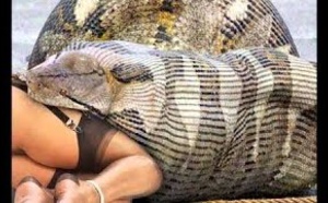 Anaconda, Le Serpent Géant