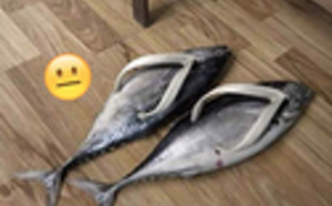 21 fois où les Bretons sont allés BEAUCOUP trop loin