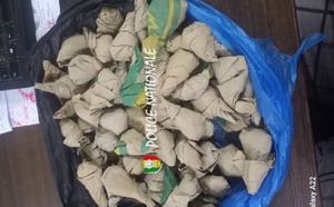 Trafic de drogue : un dealer arrêté à Kolda par l’OCRTIS avec 60 cornets de chanvre