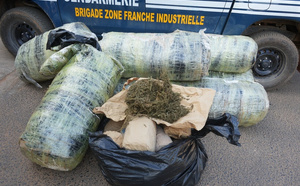 Trafic de drogue : deux individus arrêtés et une importante cargaison interceptée au large de Keur Massar