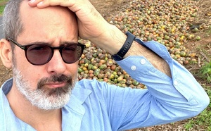 Photos / Julien Potron, CEO de Nadji.Bi Group : "Les mangues pourrissent sur la route des Niayes"