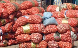 Commerce : Avec une reprise encadrée, le Sénégal lève le gel des importations d’oignon pour stabiliser le marché jusqu’à fin 2025