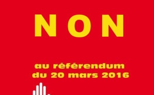 Les conséquences politiques de la victoire du NON !!! - Par Cheikh Sadibou Diop