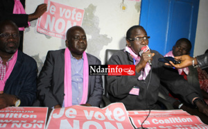 Grosses révélations de la Coalition du Non : "des tonnes de riz et beaucoup d’argent déversés sur Saint-Louis par le Camp du Oui "