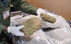 AIBD : Du haschich d’un poids total de 32,686 kg en provenance de l’étranger, saisi