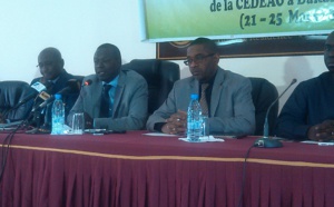 Responsabilité de la Cedeao sur les questions pénales au sein des pays membres : le juge Alioune Sall s’explique