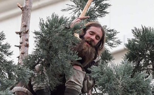 Cet homme a refusé de descendre d’un arbre pendant 24 heures