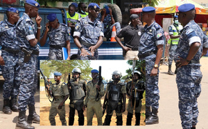Tambacounda–Bakel : l’armée et la gendarmerie sénégalaises entre contrôle et vigilance