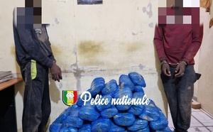 Kaolack : deux personnes arrêtées avec 83 kilos de chanvre indien à leur disposition