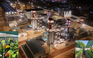 Cap des Biches : Quand Çalık Enerji conjugue transition énergétique et impact social