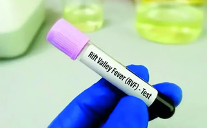 Fièvre de la Vallée du Rift : Les vétérinaires sénégalais renforcent la riposte scientifique, face aux maladies émergentes