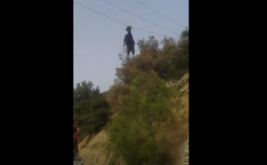 L'improbable sauvetage d'une chèvre suspendue à un câble électrique