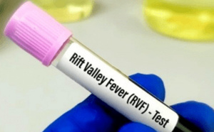 Fièvre de la Vallée du Rift : La région de Saint-Louis en bonne voie pour la fin de l’épidémie