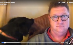 Cet homme voulait simplement regarder les infos. Mais ce qui se passe derrière lui est trop drôle!