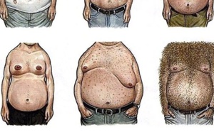 Le petit guide illustré des seins masculins, sans doute ce que vous verrez de plus drôle aujourd'hui !