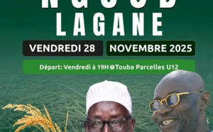 Récolte de mil à Lagane : El Hadj Samuel Sarr lance un appel aux disciples et à ses proches, ce vendredi 28 et samedi 29 novembre 2025