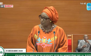 Assemblée nationale : Yacine Fall répond aux députés sur les questions d’actualité et les affaires de son Ministère