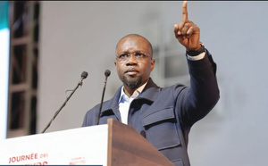 Mounirou Sy, Constitutionnaliste : «Ousmane Sonko est éligible en l’état actuel du droit »