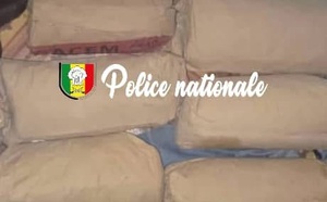 Karang:  Saisie de 10 kg de chanvre indien lors d’une patrouille