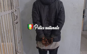 Viol présumé sur une fillette à Sendou : Un homme placé en garde-à-vue