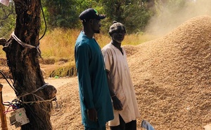 Diombato / Crise de la commercialisation de l’arachide : Modou Thiam lance un cri d’alarme à l’État, depuis le louma de Touba Mouride