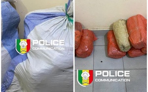 Fatick : Saisie de 24 kg de chanvre indien à Sirmang par la BRS