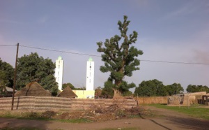 Kandiou, ce village qui vous soigne