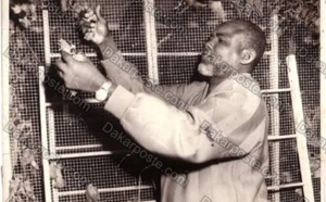 Voici le milliardaire El Hadji Diallo Picc