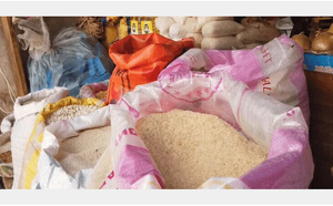 Saint- Louis : De nouveaux prix arrêtés pour le riz brisé