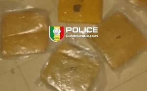 Lutte contre le trafic de drogue : Un individu interpellé avec 7 blocs de chanvre indien